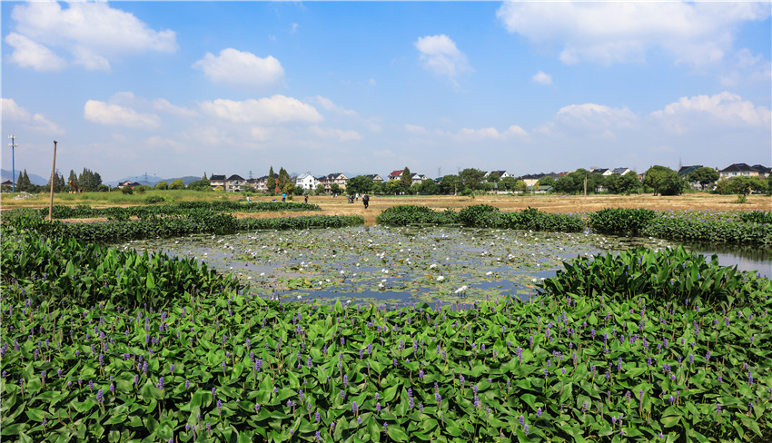 文浦花园