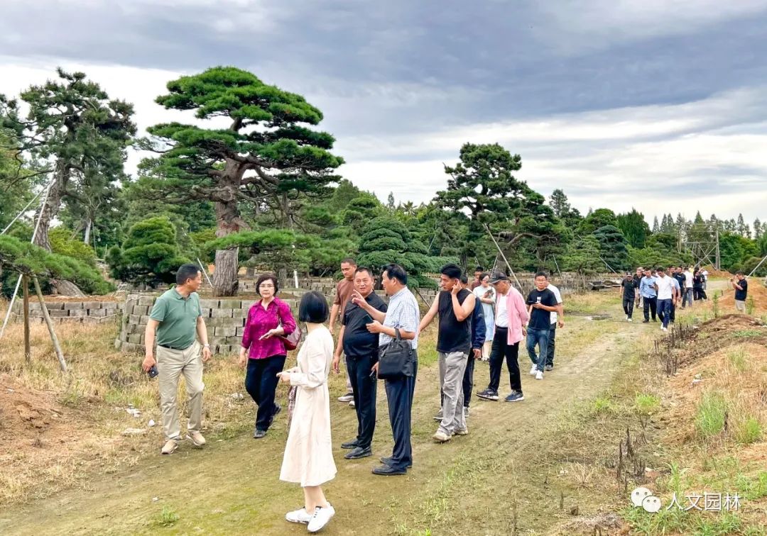 人文动态|陈胜洪董事长主持杭州市苗木商会会议，带领全体会员考察2个精品苗圃